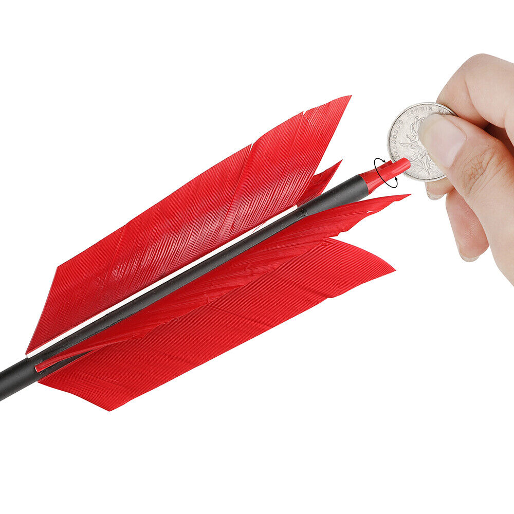 12pcs 30" Carbon Arrows 4"  Feather SP500 Bow Hunt Archery Shoot Target